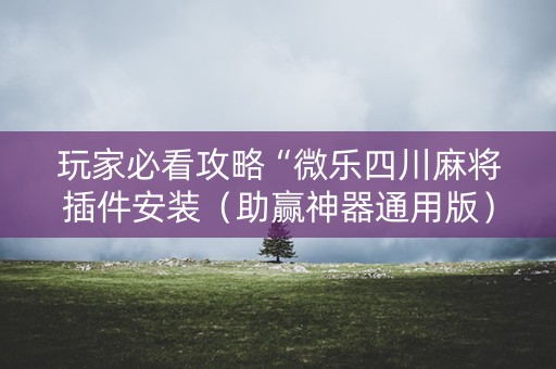 玩家必看攻略“微乐四川麻将插件安装（助赢神器通用版）