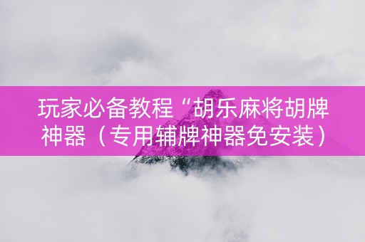 玩家必备教程“胡乐麻将胡牌神器（专用辅牌神器免安装）