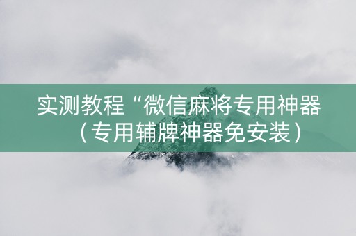 实测教程“微信麻将专用神器（专用辅牌神器免安装）