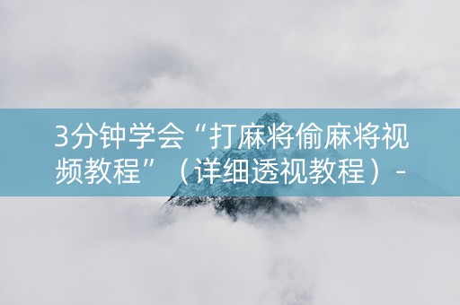 3分钟学会“打麻将偷麻将视频教程”（详细透视教程）-哔哩哔哩