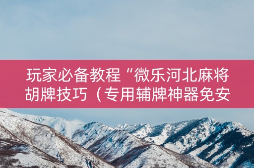 玩家必备教程“微乐河北麻将胡牌技巧（专用辅牌神器免安装）
