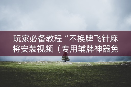 玩家必备教程“不换牌飞针麻将安装视频（专用辅牌神器免安装）