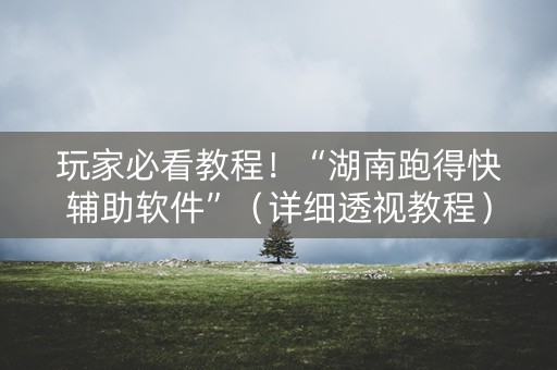 玩家必看教程！“湖南跑得快辅助软件”（详细透视教程）-哔哩哔哩