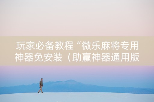 玩家必备教程“微乐麻将专用神器免安装（助赢神器通用版）