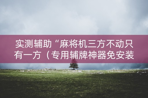 实测辅助“麻将机三方不动只有一方（专用辅牌神器免安装）