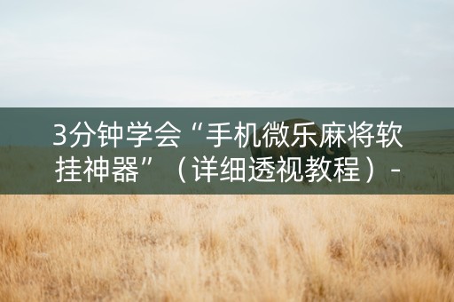3分钟学会“手机微乐麻将软挂神器”（详细透视教程）-哔哩哔哩