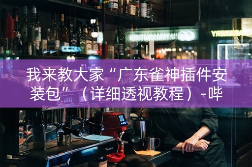 我来教大家“广东雀神插件安装包”（详细透视教程）-哔哩哔哩