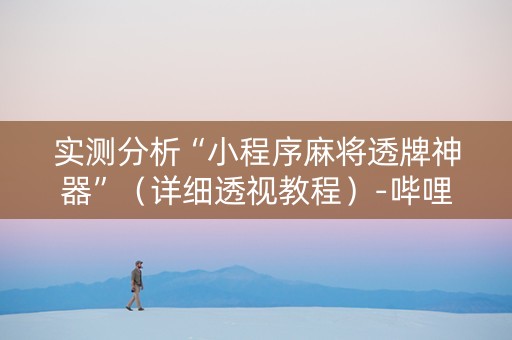 实测分析“小程序麻将透牌神器”（详细透视教程）-哔哩哔哩