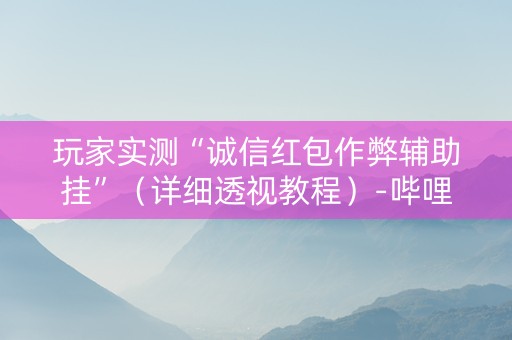 玩家实测“诚信红包作弊辅助挂”（详细透视教程）-哔哩哔哩