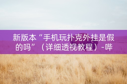 新版本“手机玩扑克外挂是假的吗”（详细透视教程）-哔哩哔哩