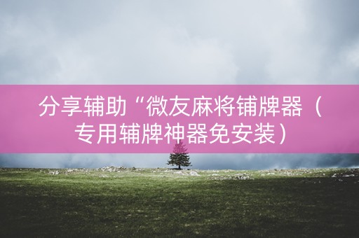分享辅助“微友麻将铺牌器（专用辅牌神器免安装）