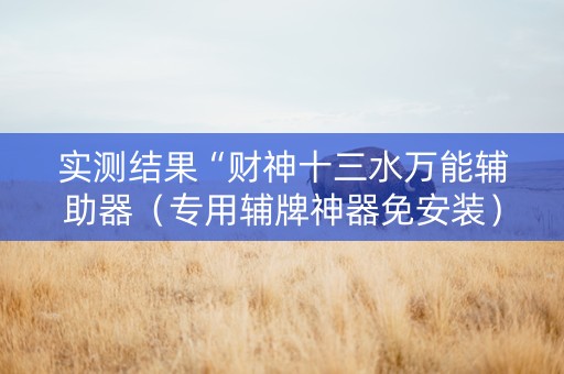 实测结果“财神十三水万能辅助器（专用辅牌神器免安装）