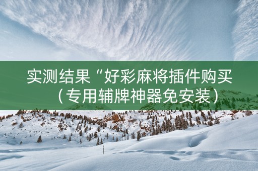 实测结果“好彩麻将插件购买（专用辅牌神器免安装）