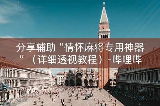 分享辅助“情怀麻将专用神器”（详细透视教程）-哔哩哔哩