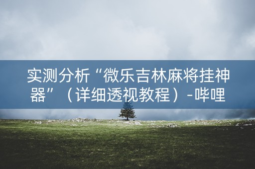 实测分析“微乐吉林麻将挂神器”（详细透视教程）-哔哩哔哩