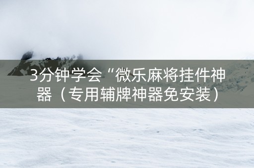 3分钟学会“微乐麻将挂件神器（专用辅牌神器免安装）