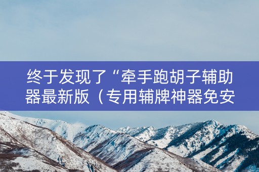 终于发现了“牵手跑胡子辅助器最新版（专用辅牌神器免安装）
