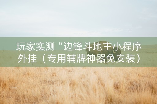 玩家实测“边锋斗地主小程序外挂（专用辅牌神器免安装）