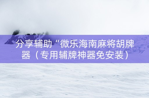 分享辅助“微乐海南麻将胡牌器（专用辅牌神器免安装）