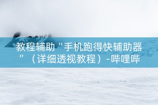 教程辅助“手机跑得快辅助器”（详细透视教程）-哔哩哔哩