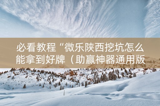 必看教程“微乐陕西挖坑怎么能拿到好牌（助赢神器通用版）