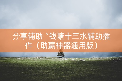 分享辅助“钱塘十三水辅助插件（助赢神器通用版）