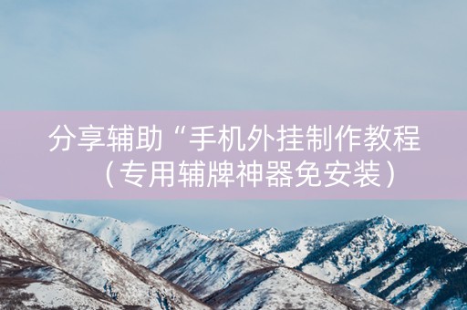 分享辅助“手机外挂制作教程（专用辅牌神器免安装）