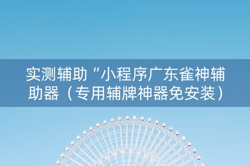实测辅助“小程序广东雀神辅助器（专用辅牌神器免安装）