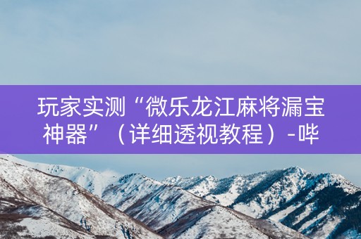 玩家实测“微乐龙江麻将漏宝神器”（详细透视教程）-哔哩哔哩