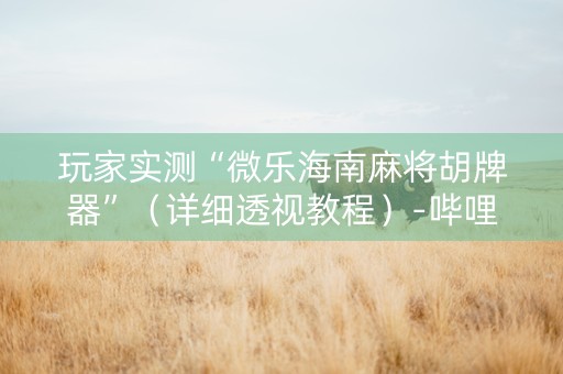 玩家实测“微乐海南麻将胡牌器”（详细透视教程）-哔哩哔哩