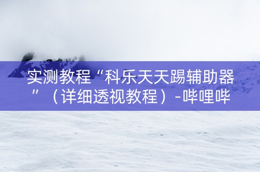 实测教程“科乐天天踢辅助器”（详细透视教程）-哔哩哔哩
