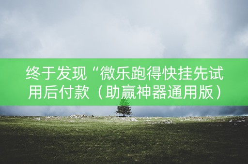 终于发现“微乐跑得快挂先试用后付款（助赢神器通用版）