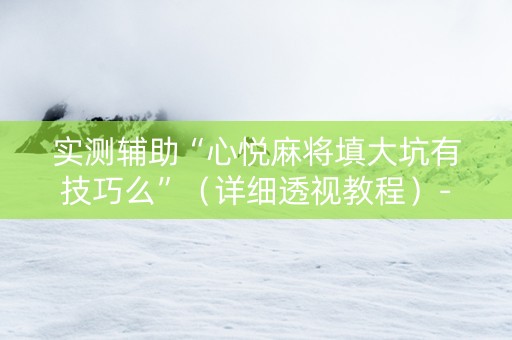 实测辅助“心悦麻将填大坑有技巧么”（详细透视教程）-哔哩哔哩