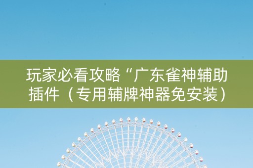 玩家必看攻略“广东雀神辅助插件（专用辅牌神器免安装）