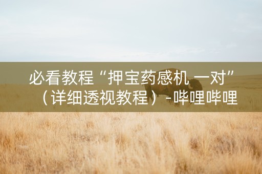 必看教程“押宝药感机 一对”（详细透视教程）-哔哩哔哩