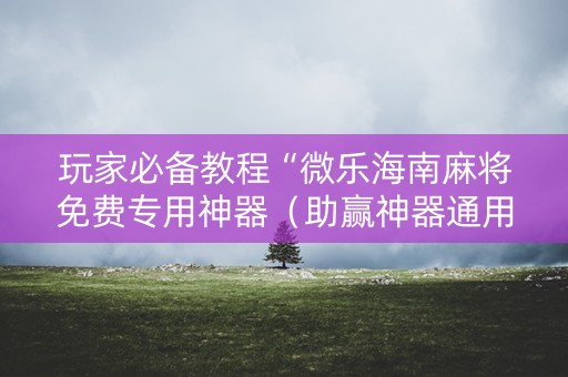 玩家必备教程“微乐海南麻将免费专用神器（助赢神器通用版）