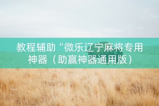 教程辅助“微乐辽宁麻将专用神器（助赢神器通用版）