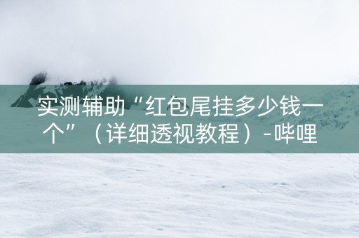 实测辅助“红包尾挂多少钱一个”（详细透视教程）-哔哩哔哩