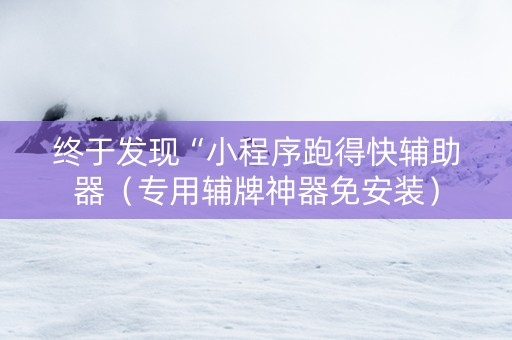 终于发现“小程序跑得快辅助器（专用辅牌神器免安装）