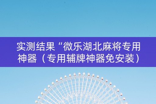 实测结果“微乐湖北麻将专用神器（专用辅牌神器免安装）