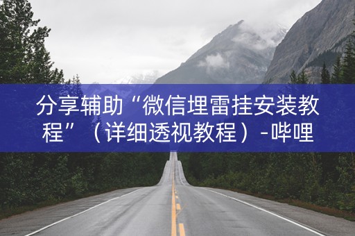 分享辅助“微信埋雷挂安装教程”（详细透视教程）-哔哩哔哩