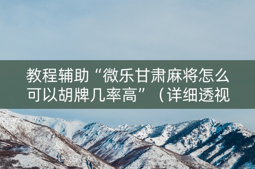 教程辅助“微乐甘肃麻将怎么可以胡牌几率高”（详细透视教程）-哔哩哔哩