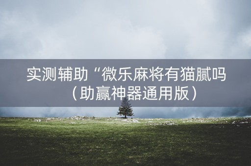 实测辅助“微乐麻将有猫腻吗（助赢神器通用版）