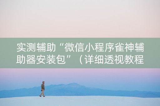 实测辅助“微信小程序雀神辅助器安装包”（详细透视教程）-哔哩哔哩