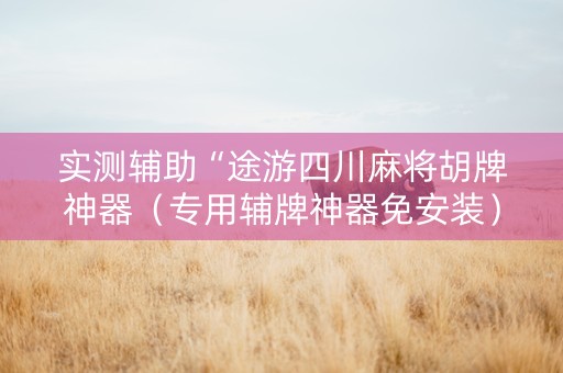 实测辅助“途游四川麻将胡牌神器（专用辅牌神器免安装）