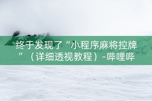 终于发现了“小程序麻将控牌”（详细透视教程）-哔哩哔哩