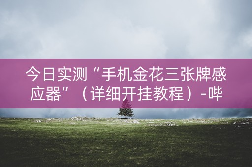 今日实测“手机金花三张牌感应器”（详细开挂教程）-哔哩哔哩