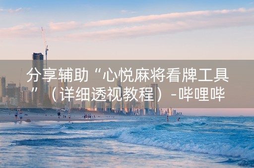 分享辅助“心悦麻将看牌工具”（详细透视教程）-哔哩哔哩