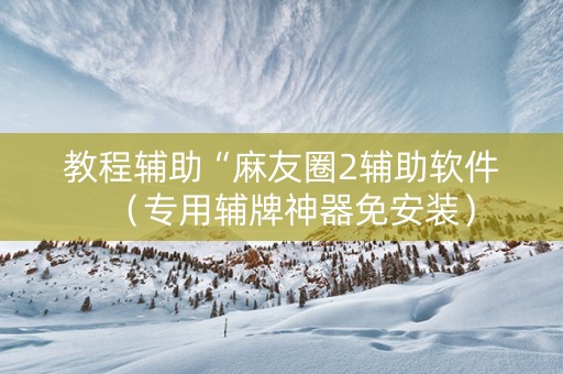 教程辅助“麻友圈2辅助软件（专用辅牌神器免安装）