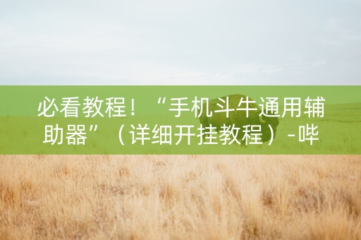 必看教程！“手机斗牛通用辅助器”（详细开挂教程）-哔哩哔哩